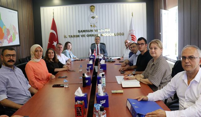 Samsun'da fındık üreticisinin beklediği gelişme