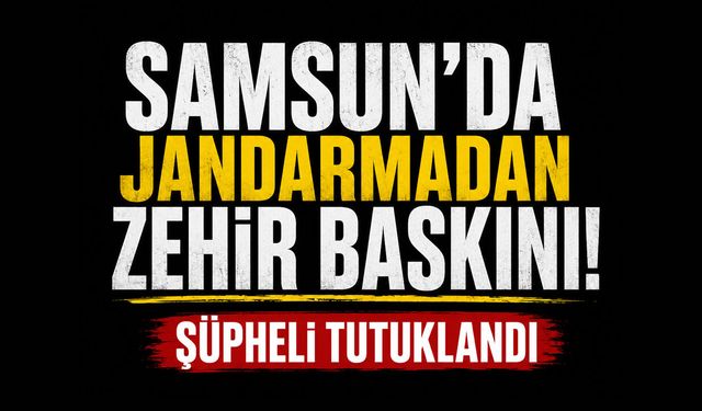 Samsun'da jandarmadan zehir baskını! Şüpheli tutuklandı