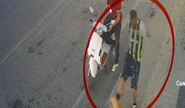 Samsun'da kediye tekme atan zanlı tutuklandı!