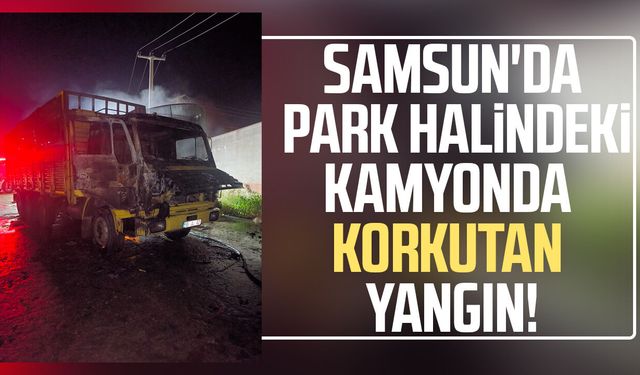 Samsun'da park halindeki kamyonda korkutan yangın!