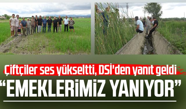 Samsun'da üretici isyanda! "Emeklerimiz yanıyor"