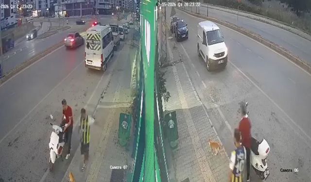 Samsun'da vicdanları sızlatan olay! Sokak kedisine tekme attı