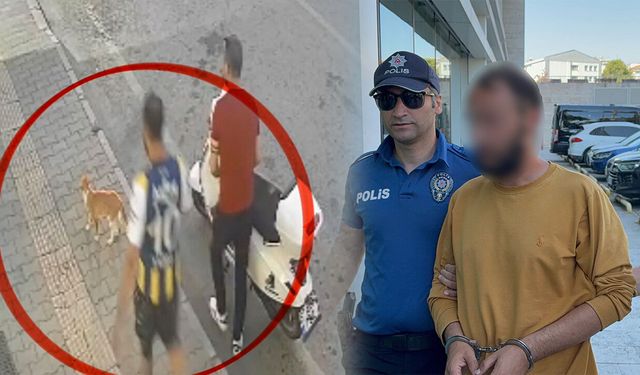 Samsun'da vicdanları sızlatan olayın faili adliyede!