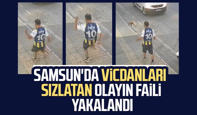Samsun'da vicdanları sızlatan olayın faili yakalandı