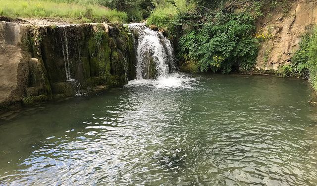 Samsun'daki bu doğa harikası destek bekliyor
