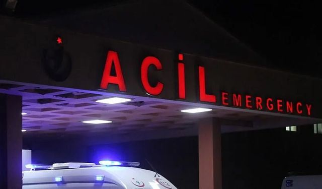 Trabzon'da ot biçme kavgası iki can aldı!
