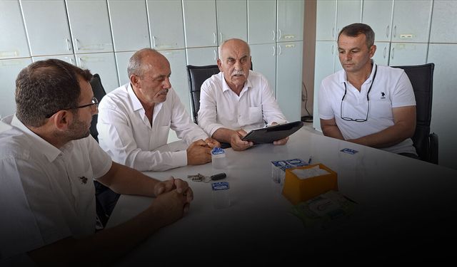 Bafra'da çeltik raporu açıklandı! Üreticiden çağrı