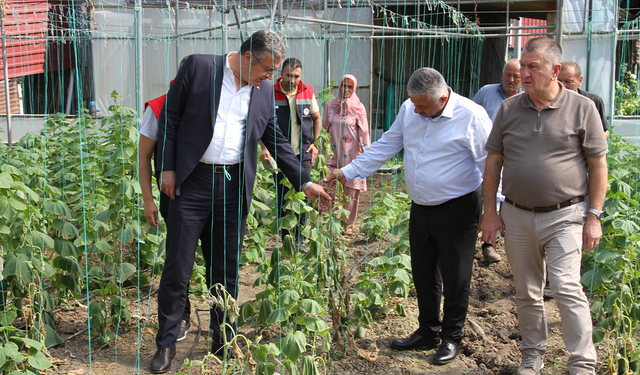 Çarşamba Ovası’nda sağanak 5 bin dekar araziye zarar verdi