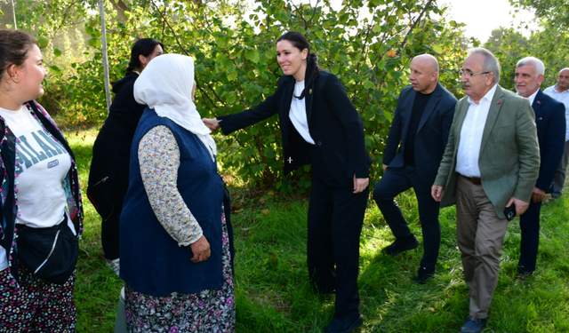 AK Partili Çiğdem Karaaslan'dan Terme çıkarması