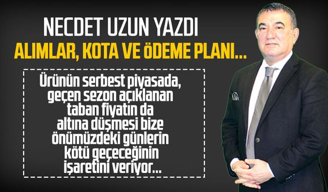 Necdet Uzun yazdı: Alımlar, kota ve ödeme planı...