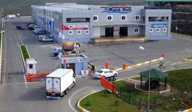 Samsun Balık Hali’nde büro ve depo tahsis edilecek
