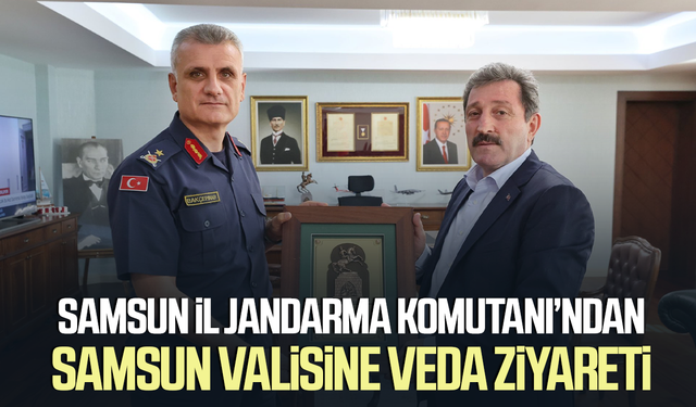 Samsun İl Jandarma Komutanı'dan Vali Tavlı'ya veda ziyareti
