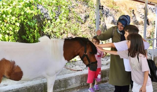 Samsun'da atlarla terapi: 413 çocuk yararlanıyor