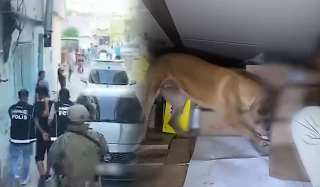 Samsun'un da aralarında olduğu 71 ilde dev zehir operasyonu!