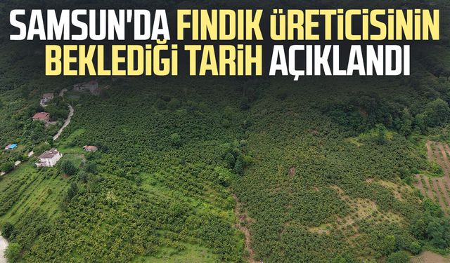 Samsun'da fındık üreticisinin beklediği tarih açıklandı