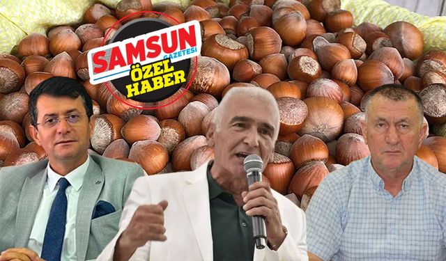 Samsun'da fındık serbest piyasada 170 liraya kadar düştü! TMO'ya kota çağrısı