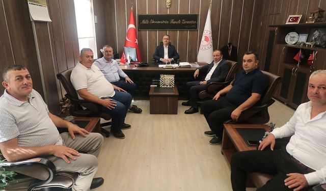 Samsun'da kivi hamlesi! Üretimin artırılması için görüşme