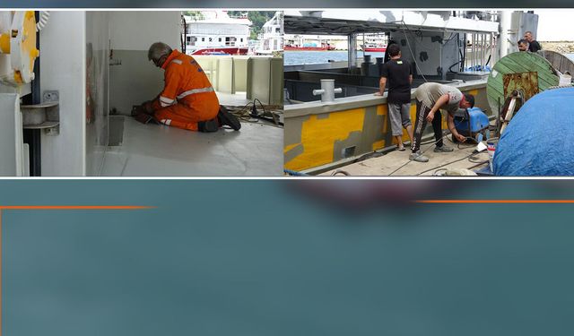 Samsun açıklarından güzel haber! Tezgâhlar palamuda doyabilir