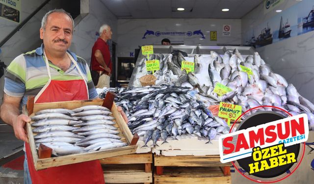 Samsun’da palamut sezonu başladı: Fiyatı 80 liraya kadar düştü!