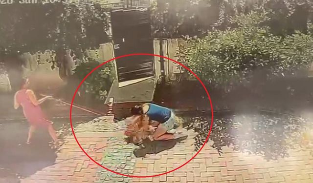Samsun'da pitbull dehşeti! Küçük kız kabusu yaşadı
