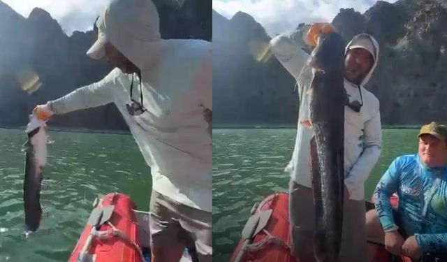 Samsun'da avladı ama yanına almadı! Nedeni takdir topladı
