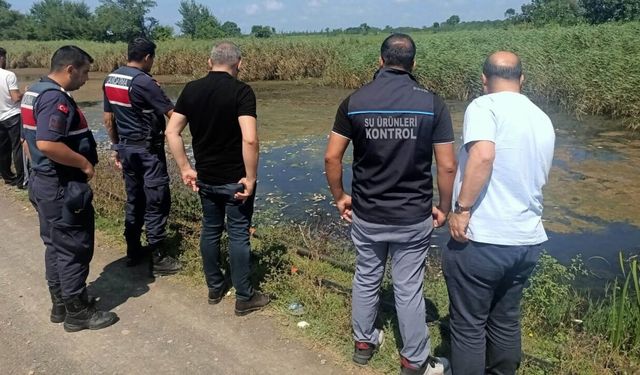 Samsun'da ekipleri harekete geçiren balık ölümleri