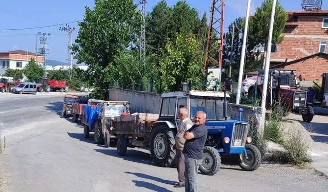 Kavak’ta buğday alımı tamamlandı: Rakamlar dikkat çekti