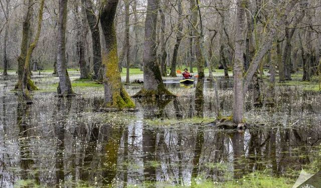 Samsun’un 19 Mayıs ilçesinde görülmesi gereken yerler