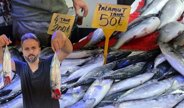 Samsun'da palamut bereketi! Fiyatı 50 TL'ye kadar geriledi