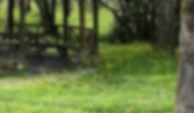 Samsun’da piknik yapılacak en güzel yerler: Doğayla baş başa 8 adres