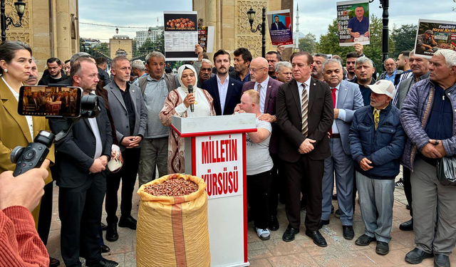 Samsun'da fındık üreticisi ses yükseltti! Yeşilırmak’ta eylem