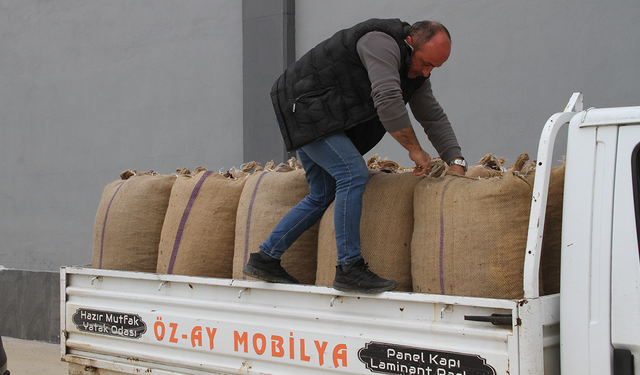 Samsun’da fındıkta yeni tablo! Üreticiler TMO’ya yöneldi