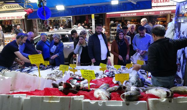 Samsun'da palamut fiyatı çakıldı! Kapış kapış gidiyor