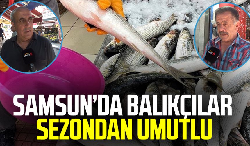 Samsun haber | Samsun'da balıkçılar sezondan umutlu