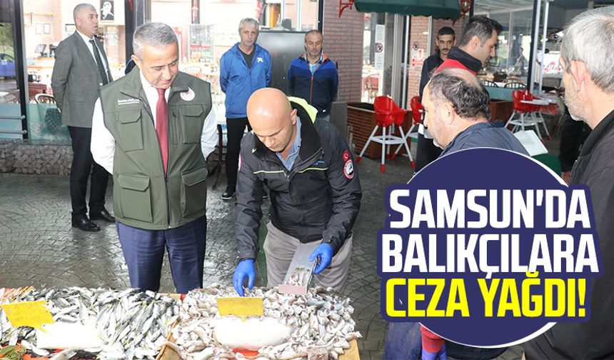 Samsun'da balıkçılara ceza yağdı!