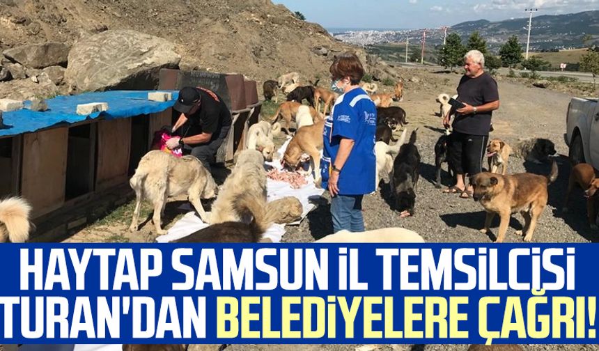 HAYTAP Samsun İl Temsilcisi Gül Turan'dan belediyelere çağrı!