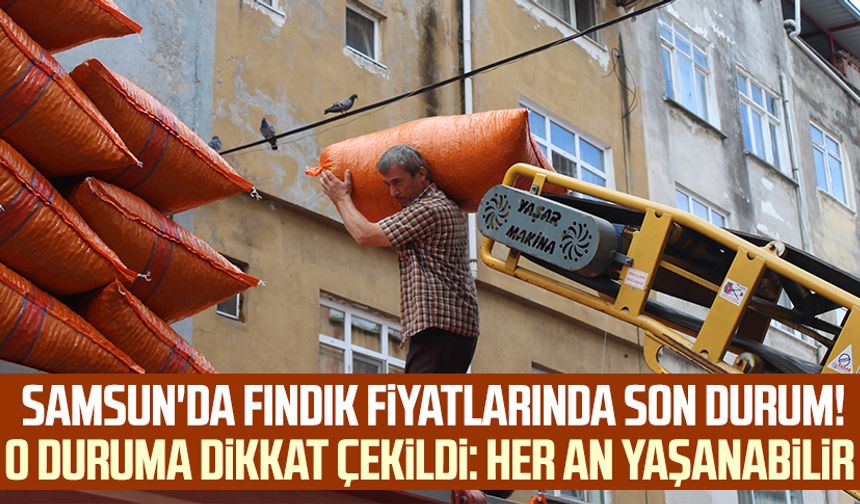 Samsun'da fındık fiyatlarında son durum! O duruma dikkat çekildi: Her an yaşanabilir