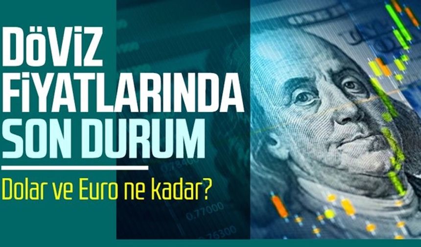 Dolar ne kadar? 29 Ocak Pazartesi döviz fiyatlarında son durum