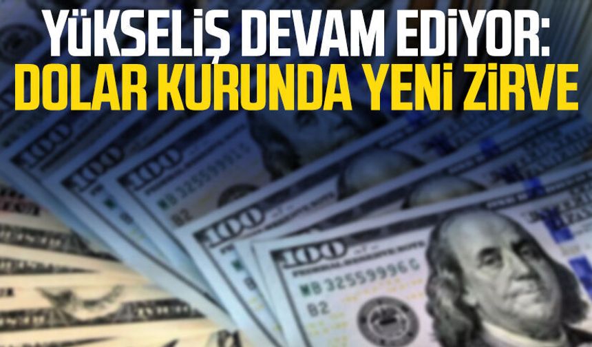 Yükseliş devam ediyor: Dolar kurunda yeni zirve