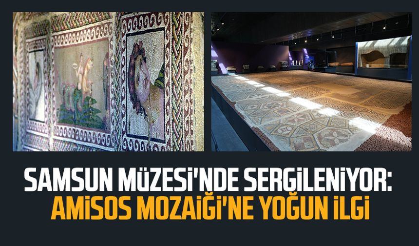 Samsun Müzesi'nde sergileniyor: Amisos Mozaiği'ne yoğun ilgi