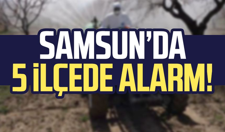 Samsun'da 5 ilçede alarm! Üreticilere uyarı yapıldı
