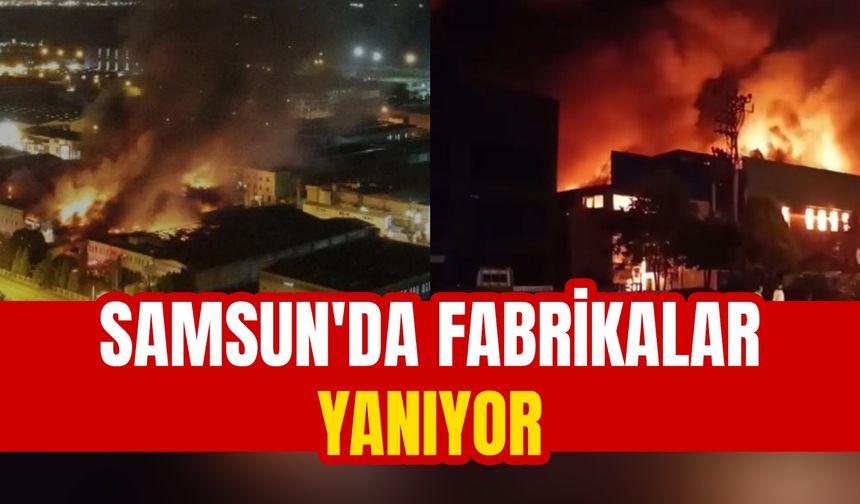 Samsun Tekkeköy'de yangın