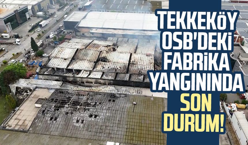 Samsun Tekkeköy OSB'deki fabrika yangınında son durum!
