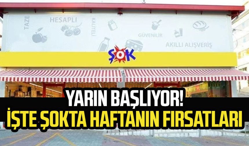 ŞOK market 10 Temmuz 2024 aktüel ürünler kataloğu yayımlandı! ŞOK 10 Temmuz aktüel ürünler!