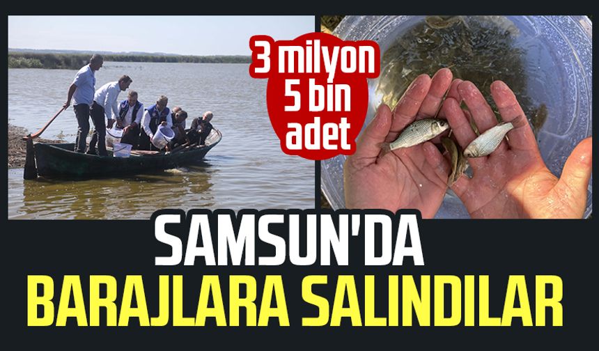 3 milyon 5 bin adet: Samsun'da barajlara salındılar