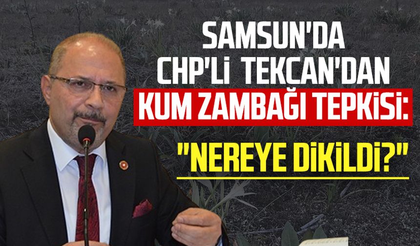 Samsun'da CHP'li Atila Tekcan'dan kum zambağı tepkisi: "Nereye dikildi?"