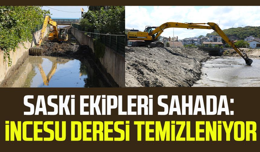 SASKİ ekipleri sahada: İncesu Deresi temizleniyor