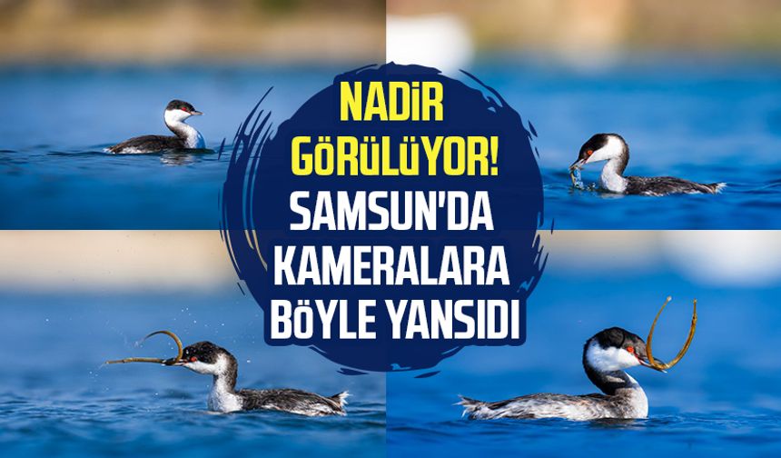 Nadir görülüyor! Samsun'da kameralara böyle yansıdı