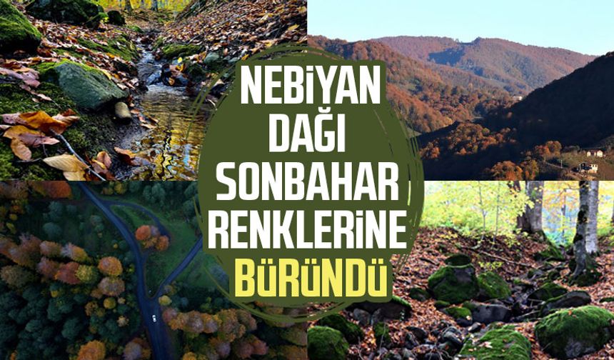 Samsun Nebiyan Dağı sonbahar renklerine büründü