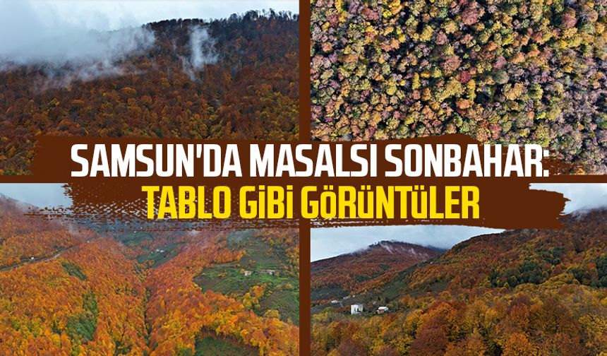 Samsun'da masalsı sonbahar: Tablo gibi görüntüler